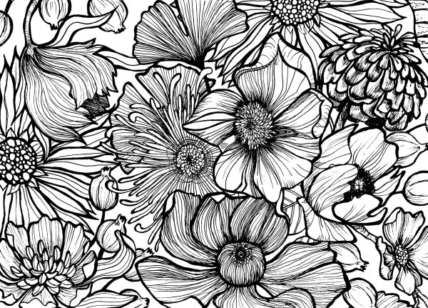 Цветы контур