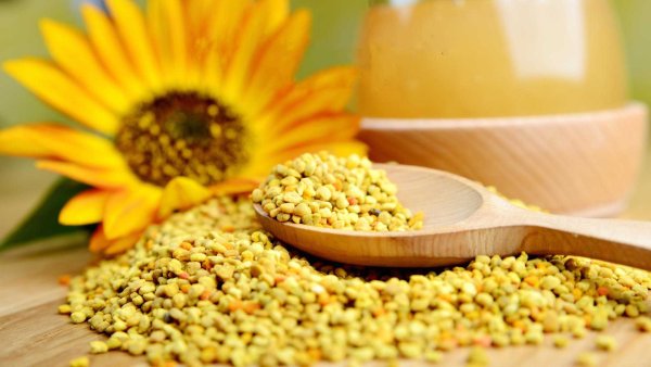 Пыльца одуванчиков Геншин