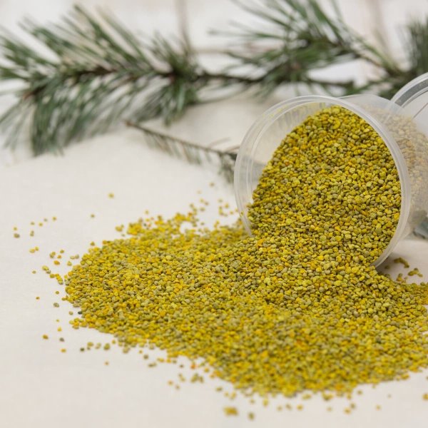 Пчелы опыляют растения