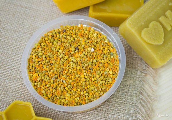 Цветок на котором много пыльцы