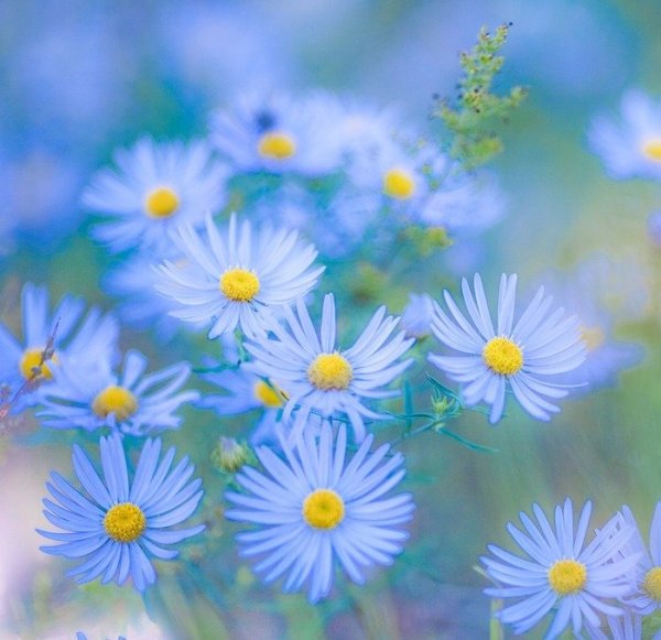 Позитивные открытки для поднятия настроения