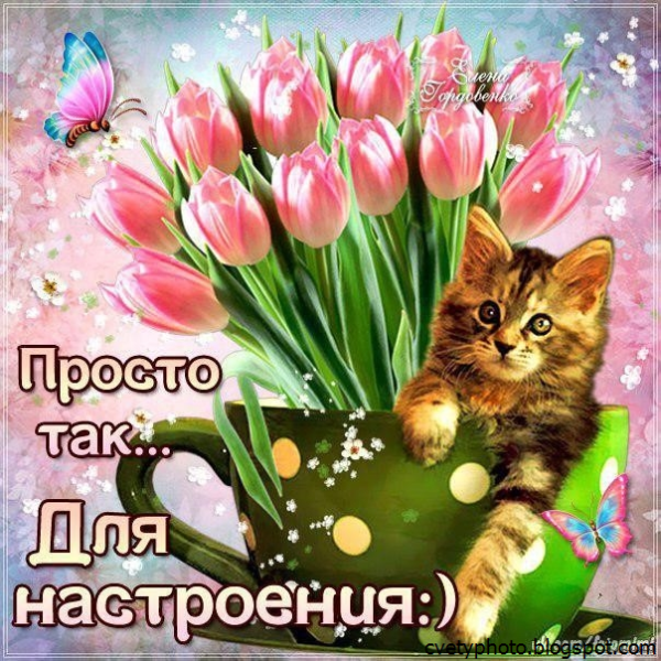 Открытки для поднятия настроения девушке