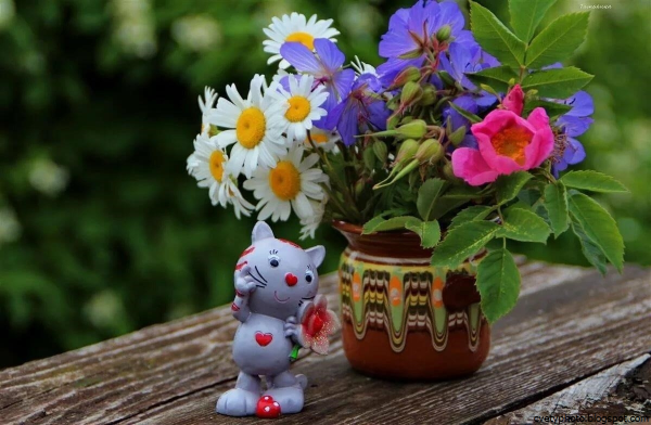 Дарю цветочек