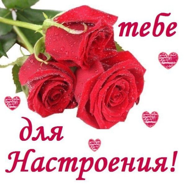 Орешниковая Соня