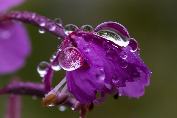 Красивые обои на рабочий стол