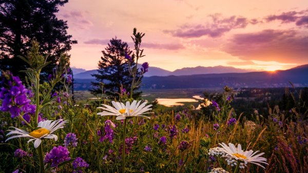 Рассвет летом