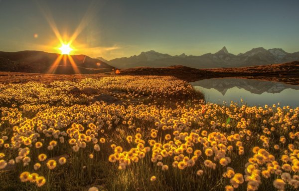 Солнце пейзаж