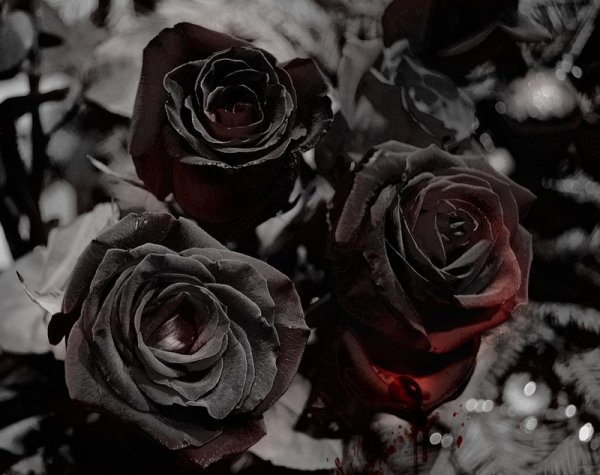 Мрачные цветы Эстетика