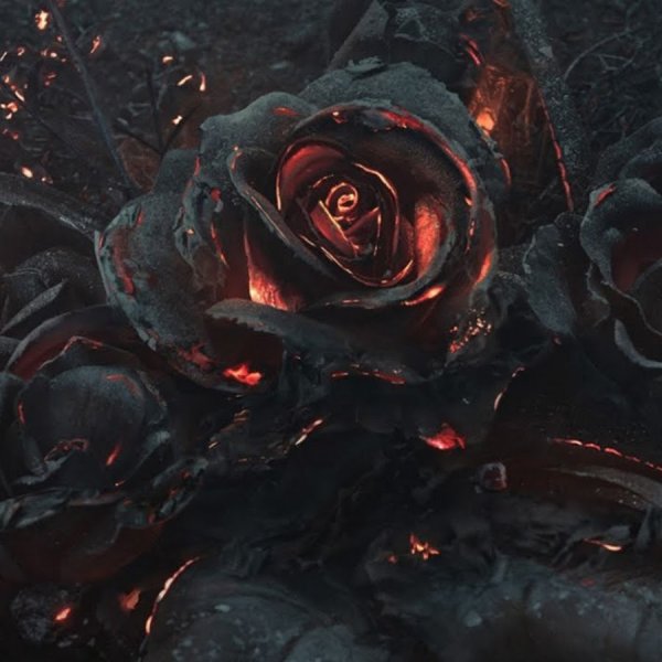 Мрачные цветы арт