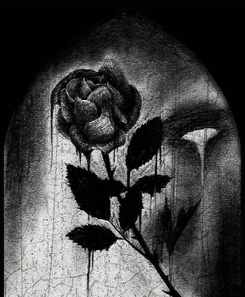 Мрачные розы