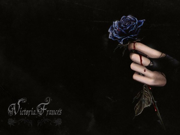 Мрачная Эстетика