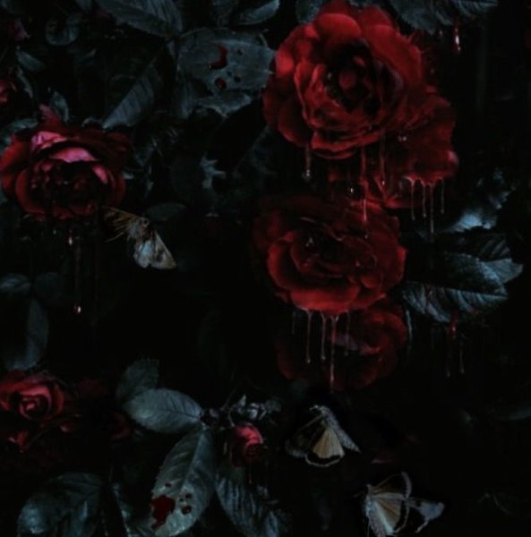 Роза с шипами