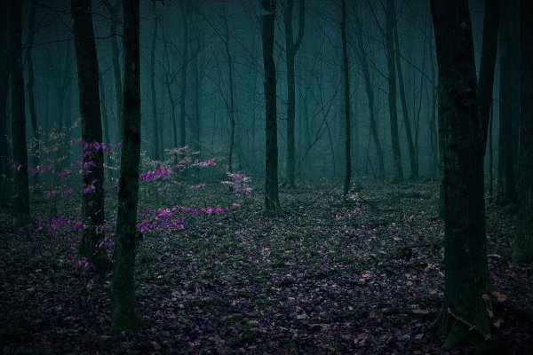 Эстетика синего цвета