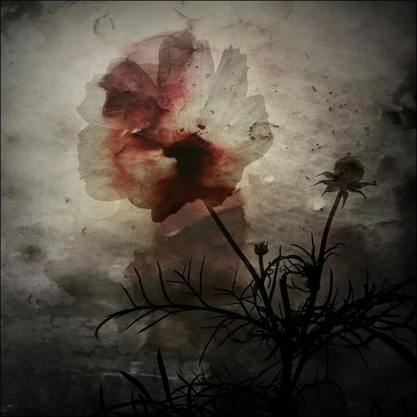 Кровавый лес