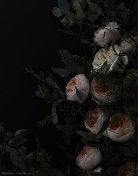 Эстетика черного