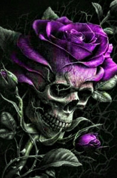 Цветы на черном фоне