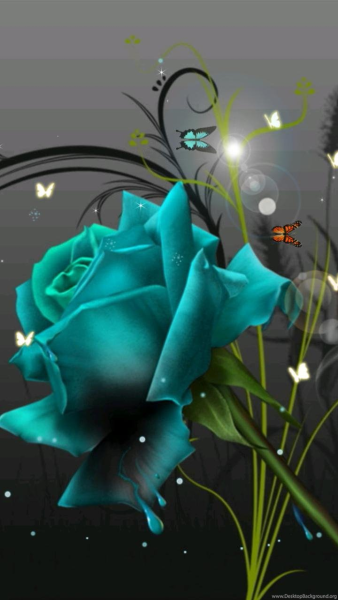 Google Live Wallpaper