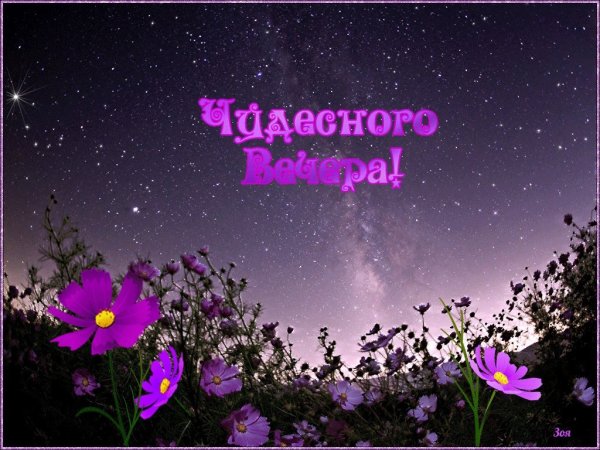 Доброго летнего вечера