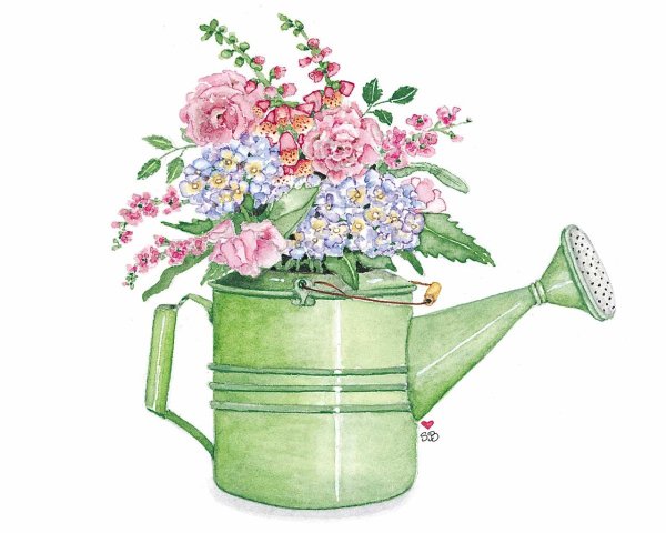 Цветы в лейке акварель