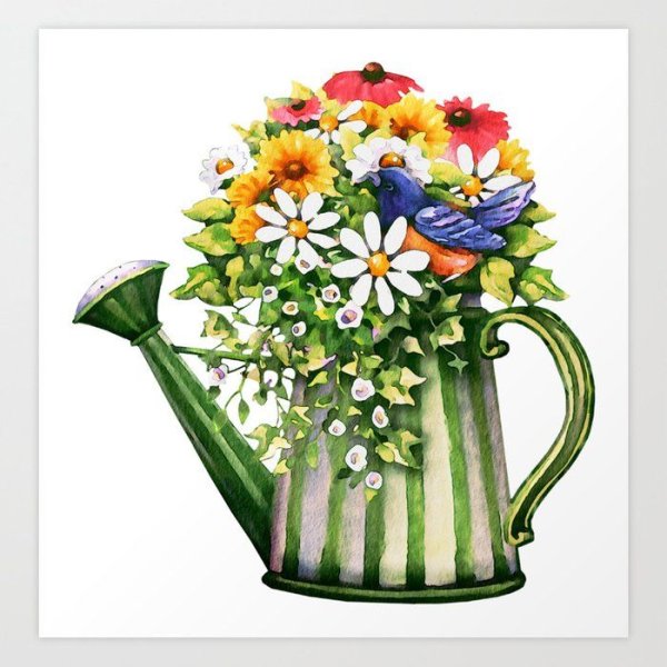 Цветы в лейке