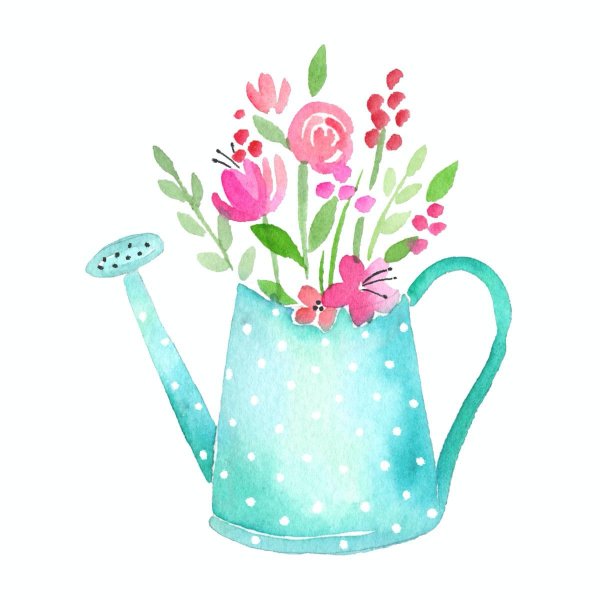 Рисование цветы в лейке