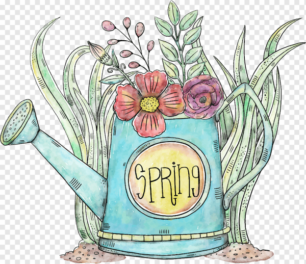 Лейка с цветами иллюстрация