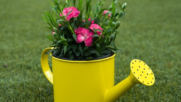 Лейка для цветов