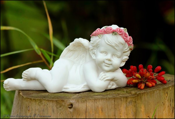 Доброе утро Ангелочек