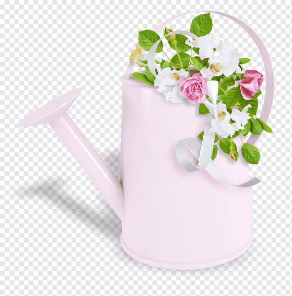 Лейка на белом фоне