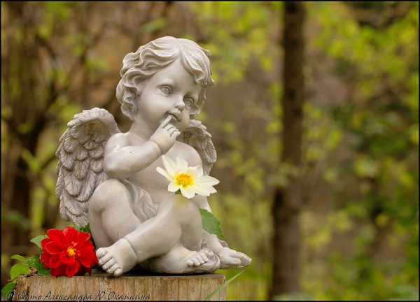 Дона Гельсингер ангелы