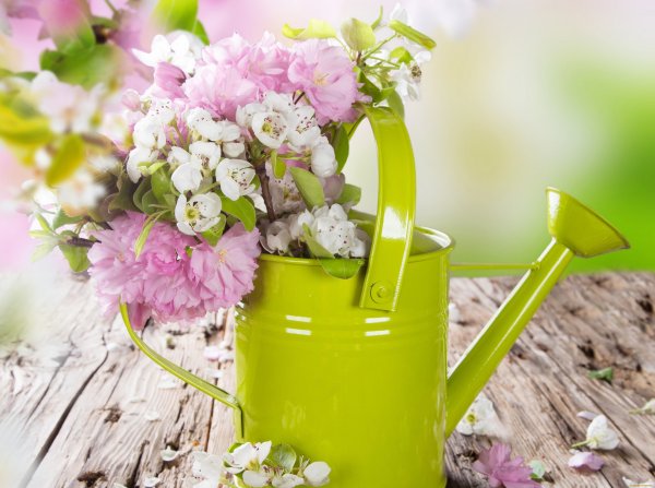 Композиция в лейке