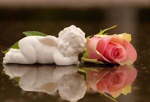 Ангел в цветах