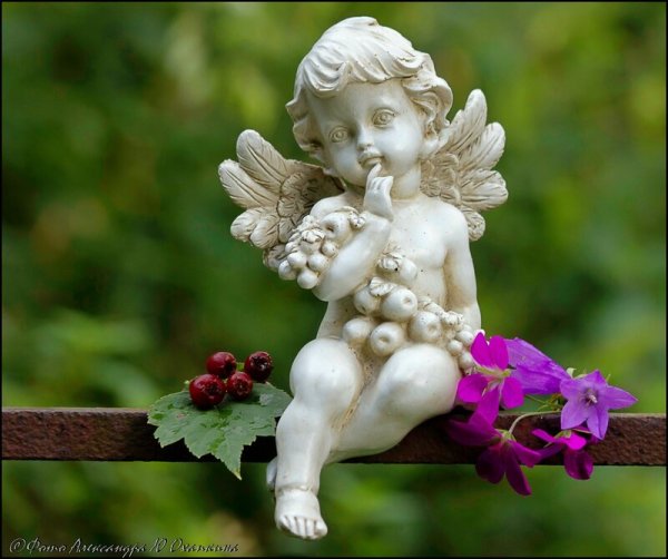 Нежный Ангелочек