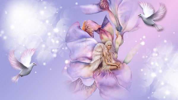 Ангел с пожеланиями