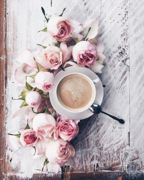 Кофе цветы Минимализм