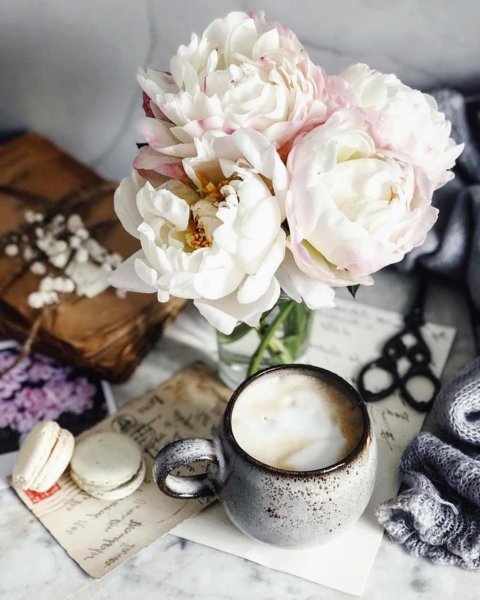 Доброе утро зефир