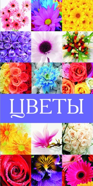 Баннер цветов