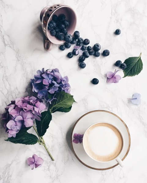 Завтрак с цветами