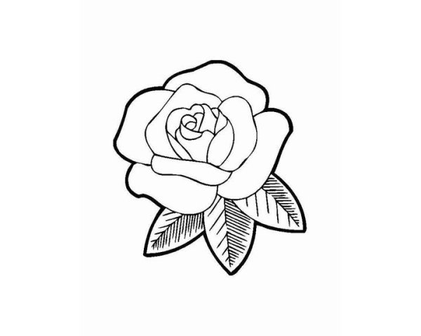 Раскраска маленькой розы