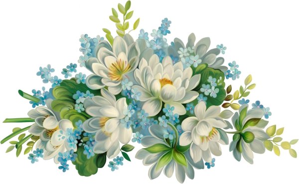 Клипарт цветы на прозрачном фоне