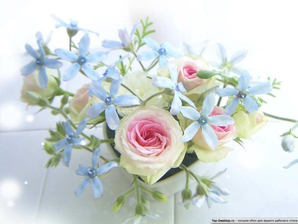 С днем рождения нежные цветы