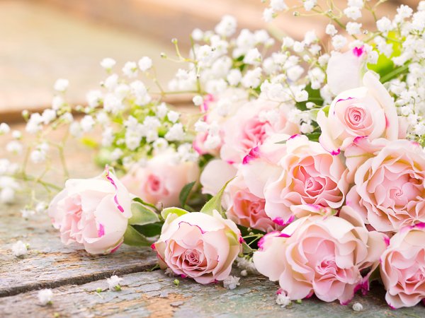 Спасибо картинки красивые необычные нежные