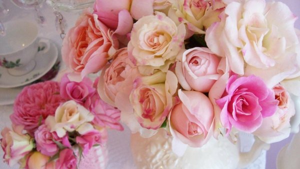 Прекрасные нежные цветы