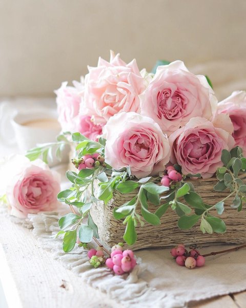 Цветы красивые нежные Роскошные