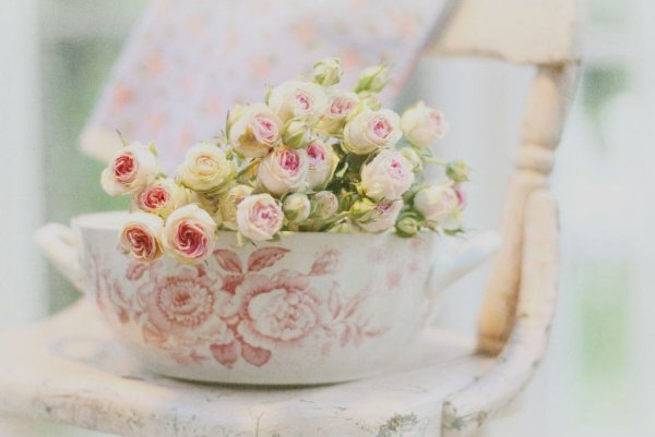 Ранункулюсы шебби Шик