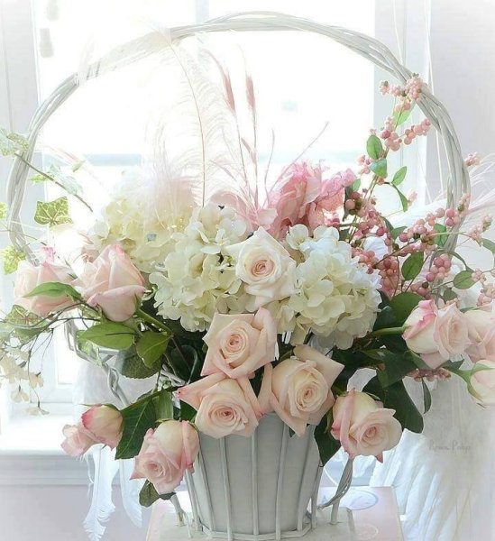 Стильные цветы