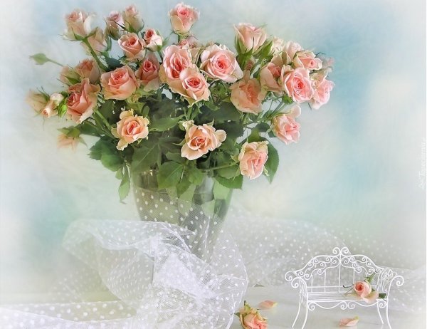 Звержанская Екатерина гортензия