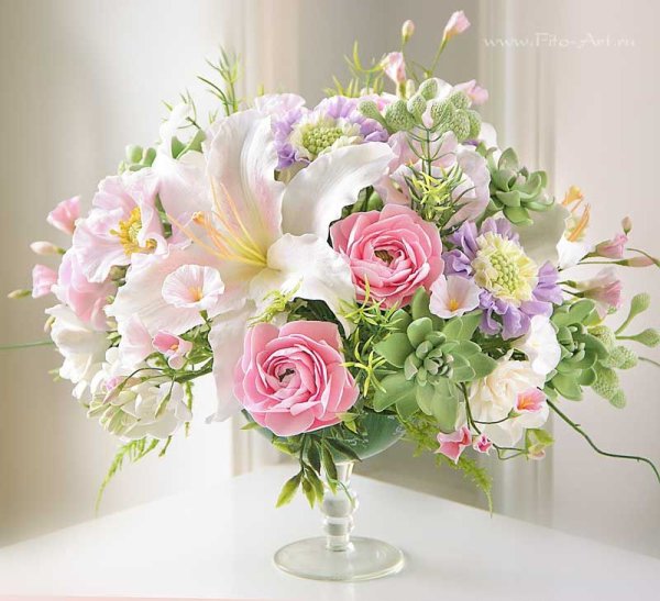 Нежные розы