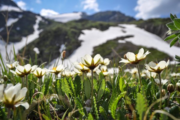 Национальный парк горного Алтая