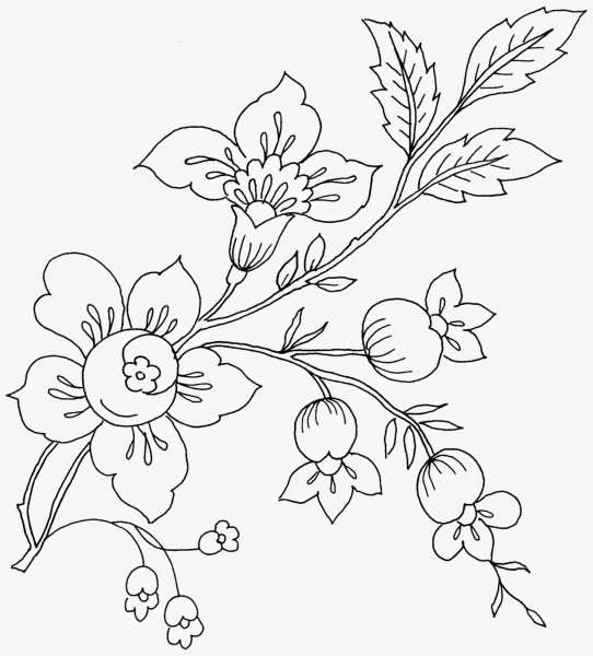 Эскизы цветов для вышивки